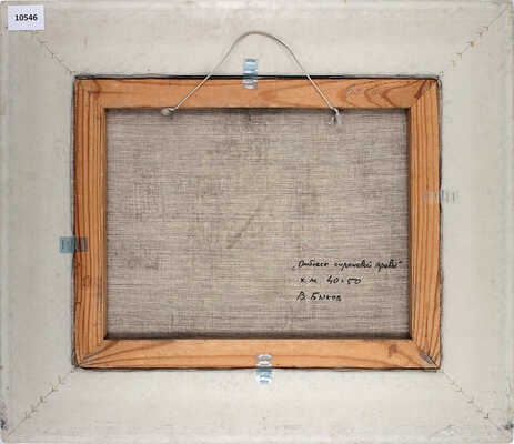 Быков Виктор Александрович. Отблеск сиреневой травы 